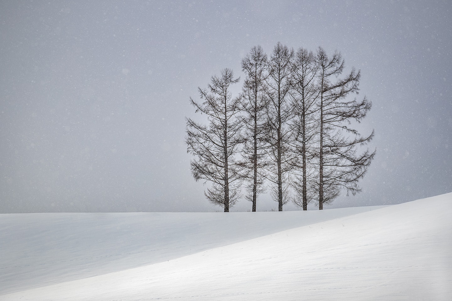 Winter Photo Workshop