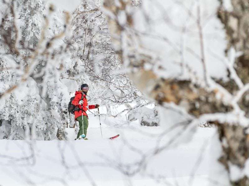 Anna Segal Niseko Japan photography