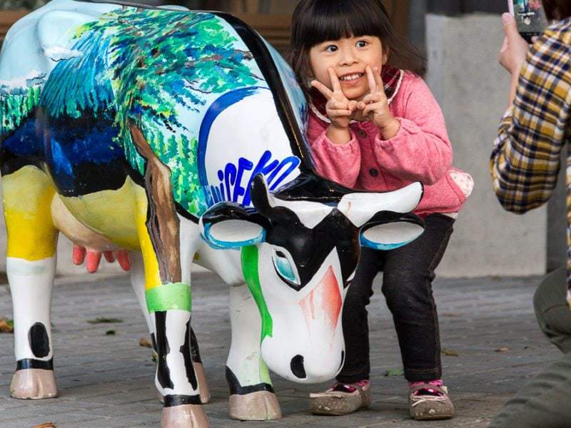Niseko cow parade closing party
