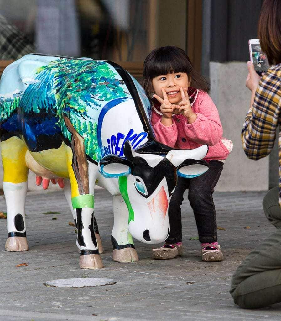 Niseko cow parade closing party