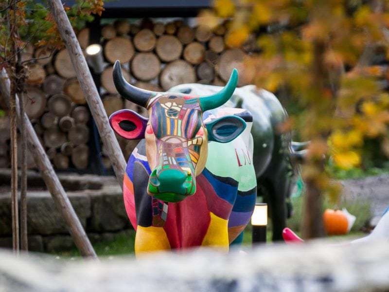 Niseko cow parade closing party