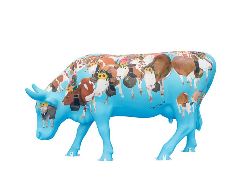 Niseko cow parade event held in 2015