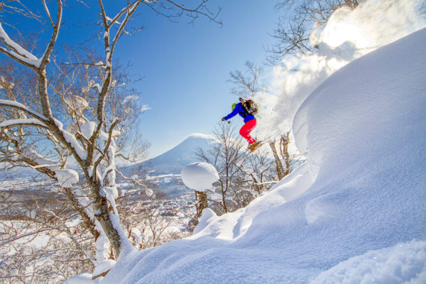 Niseko United photography tour