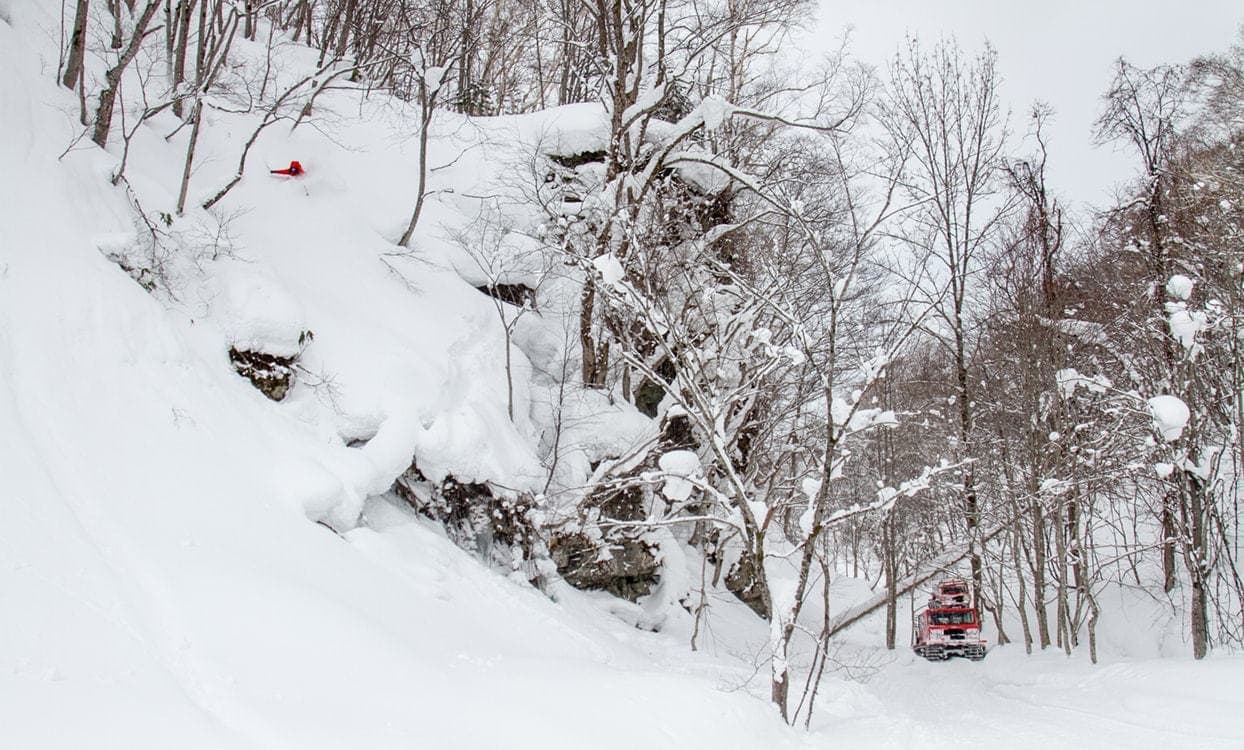 Niseko Photography cat ski