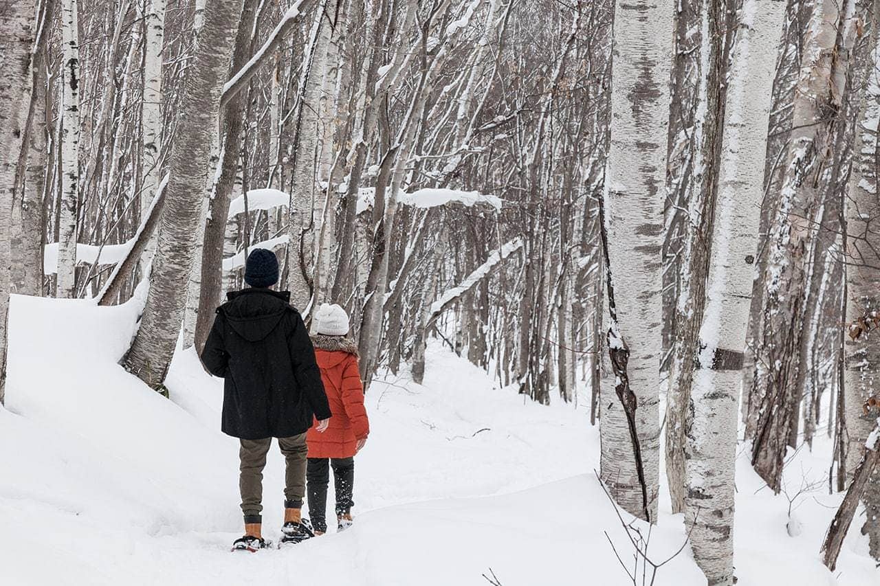 Niseko Photography snowshoe tour