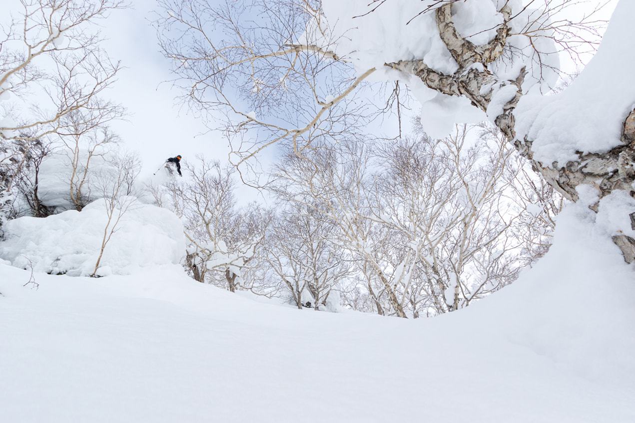 Niseko backcountry tours, Hokkaido, Japan