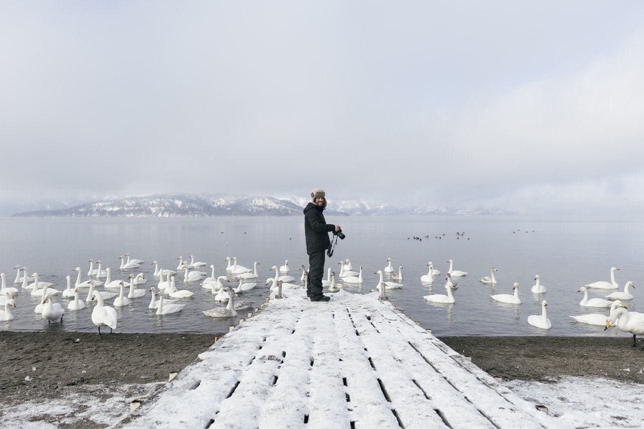 Hokkaido Landscape & Wildlife Tour - Niseko Photography