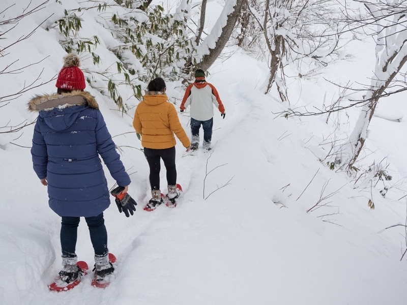 Niseko Photography family Tour - Agnes