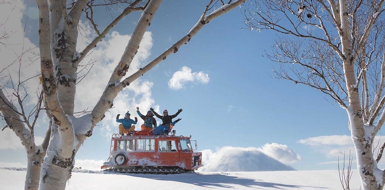 cat tour niseko