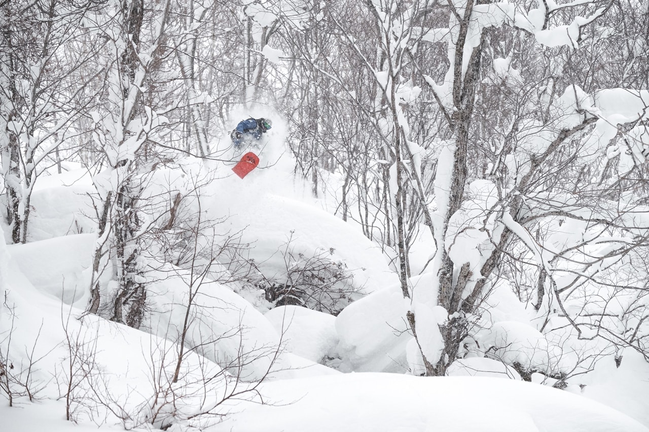 Niseko cat skiing tours with Niseko Photography