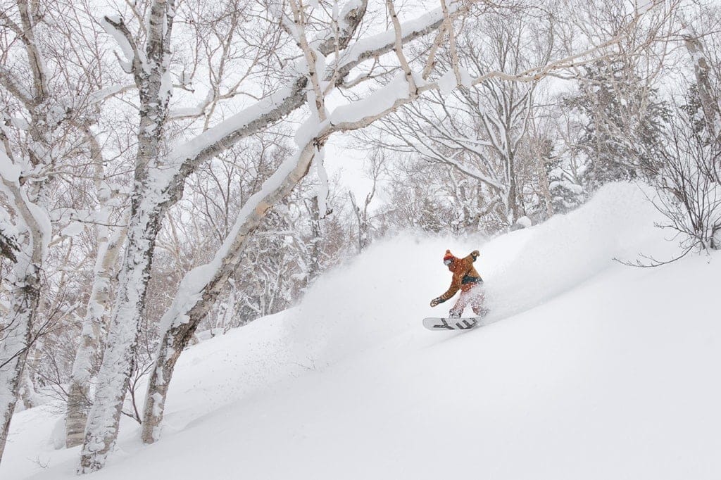 Niseko cat skiing tours, Hokkaido, Japan
