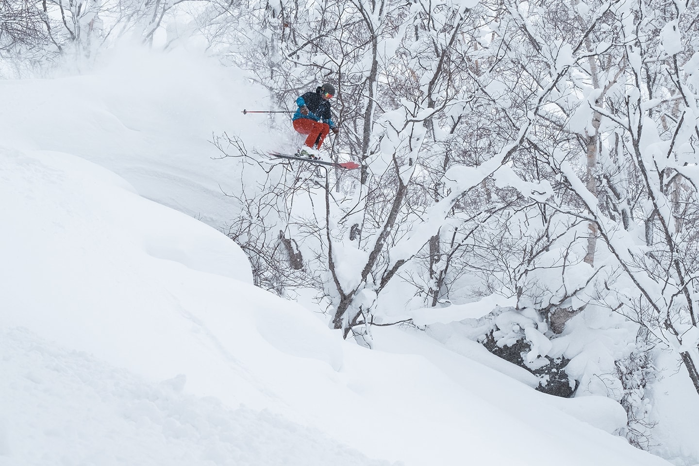 niseko powder