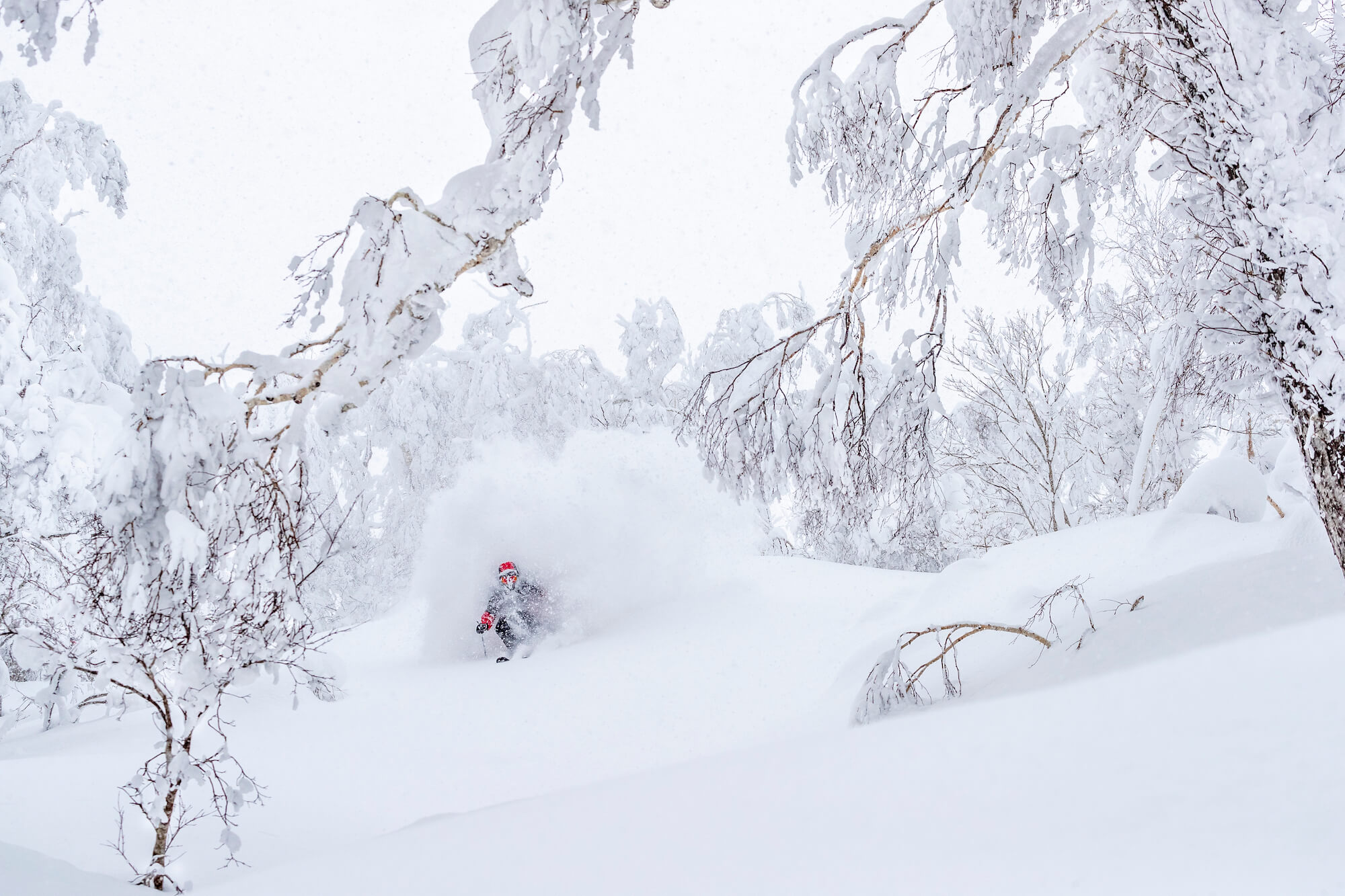 Now available in Furano!